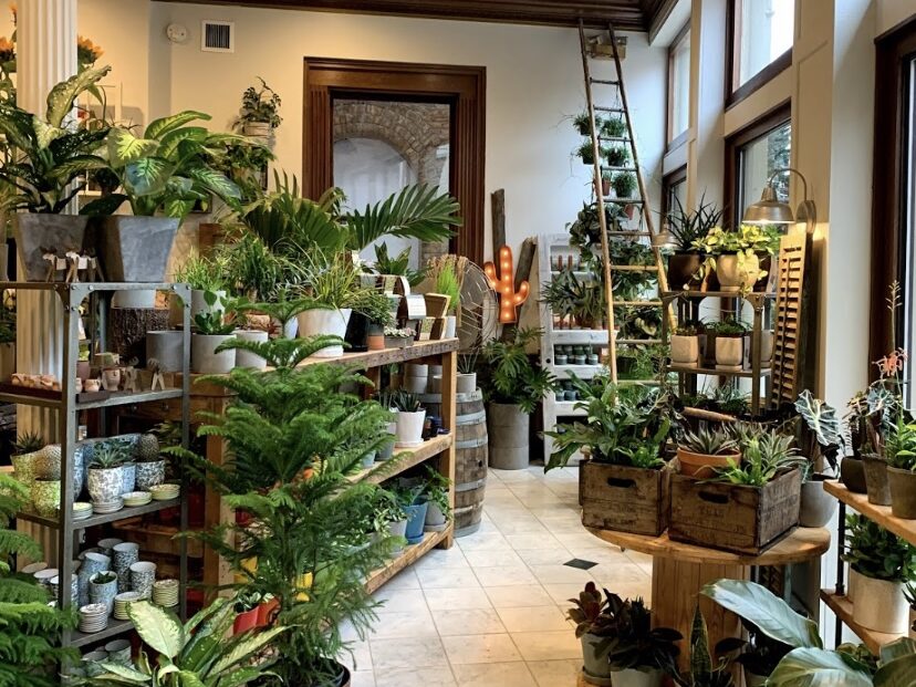 River Garden Studio
